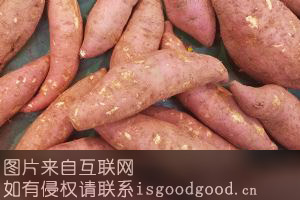 生态红薯特产照片