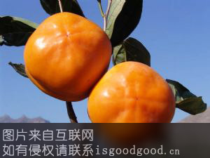 张坊磨盘柿特产照片