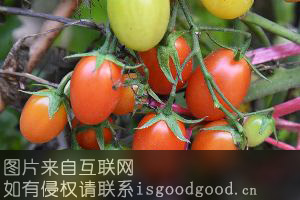 刘家峡樱桃西红柿特产照片