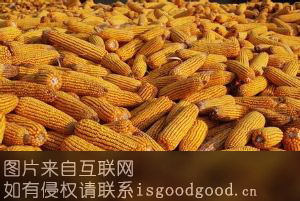 黄龙玉米特产照片