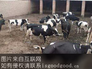 南郑畜牧业特产照片