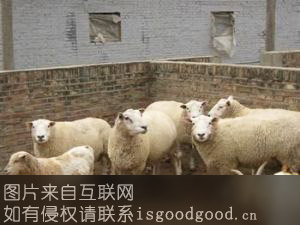 神木肉羊特产照片