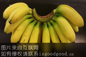 耿马香蕉特产照片
