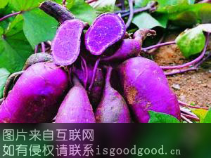 紫色红薯特产照片