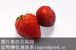 云谷深山草莓特产照片