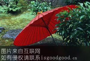 泸州红伞特产照片
