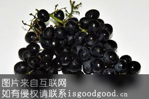 华蓥山葡萄特产照片