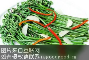 华蓥山蕨菜特产照片
