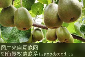 南江猕猴桃特产照片