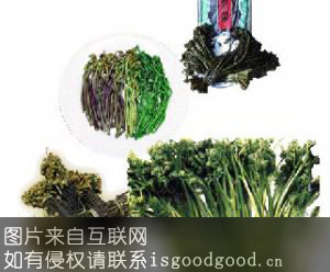 黑水蕨菜特产照片