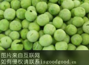 绿豌豆特产照片