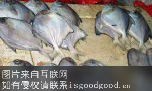 柳州鲳鱼特产照片