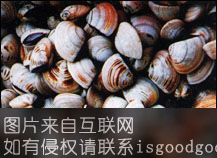 钦州文蛤特产照片