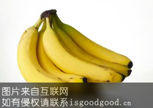 玉州香蕉特产照片