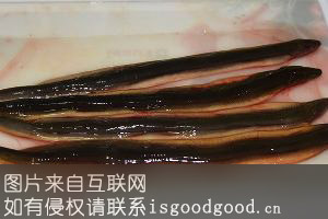鲟江风鳝特产照片