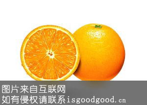 龙胜甜橘特产照片