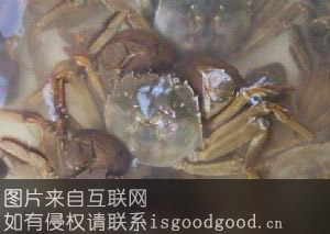 喜鹊湖螃蟹特产照片