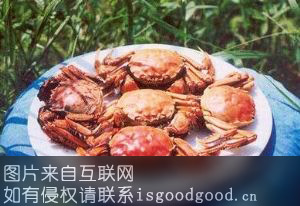 五河沱湖螃蟹特产照片