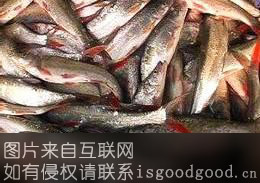 梁子湖红尾鱼特产照片