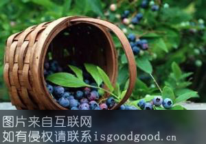 黄岛蓝莓特产照片