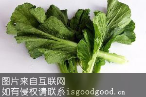 东漕汶村蔬菜特产照片