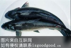 光泽溪鱼特产照片