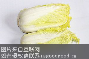 福山包头大白菜特产照片