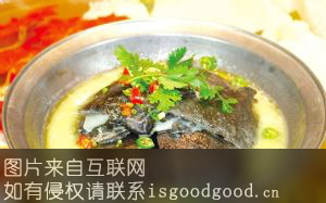 潍坊黄焖甲鱼特产照片