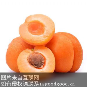 香城黄杏特产照片