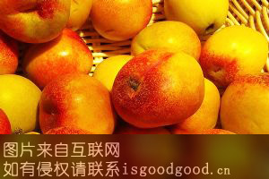 香城油桃特产照片