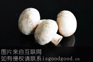 邹城双孢菇特产照片