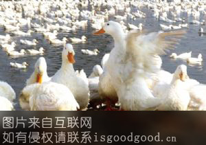 小杨屯村肉鸭特产照片