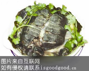 长江野生甲鱼特产照片