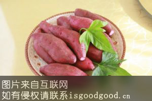 紫心番薯特产照片