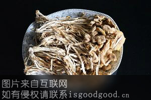 中华神菇--茶树菇特产照片