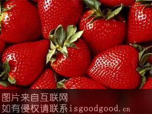 蚌埠草莓特产照片