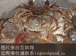 滁州河蟹特产照片