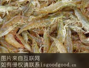 杭州南美白对虾特产照片