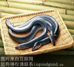 嵊泗鳗鱼特产照片