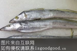 嵊泗带鱼特产照片