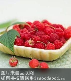 树莓特产照片