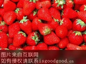 凌海草莓特产照片