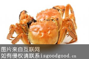 唐海河蟹特产照片