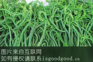 东至蕨菜特产照片