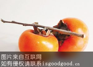 方山黄柿特产照片