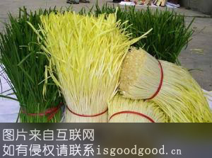 天津韭黄特产照片