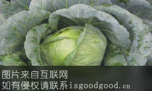 潘家湾蔬菜特产照片