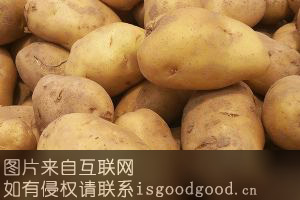 马栏土豆特产照片