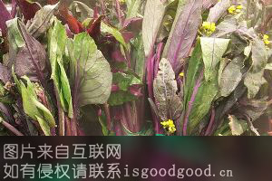 茅草红菜苔特产照片