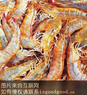 汉沽东方对虾特产照片
